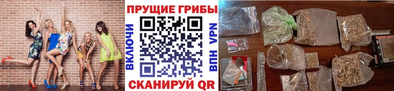 Псилоцибиновые грибы MAGIC MUSHROOMS  Купить  Сысерть 